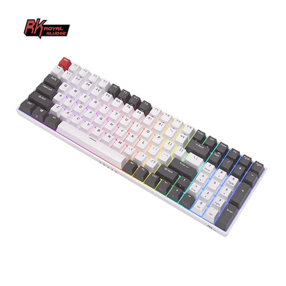 RK100 Russian Mechanical Keyboard Tri-Mode RGB Backlit 100Keys Bluetooth 2.4G Wireless Hot Swappable Gamer Keyboard